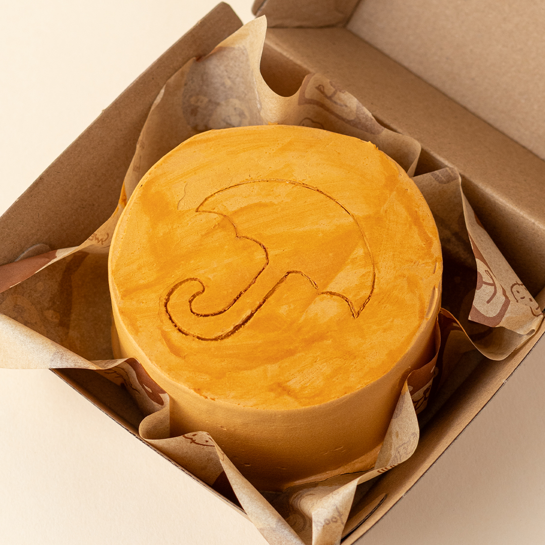 Dalgona Game Bento Cake (Umbrella)