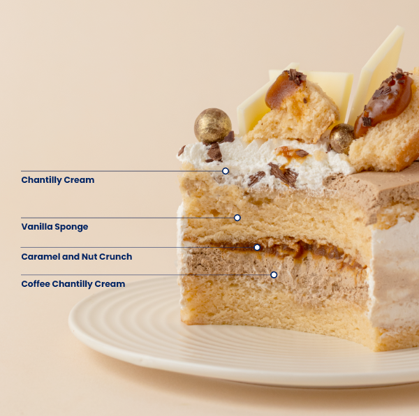 Dalgona Coffee Mini Cake