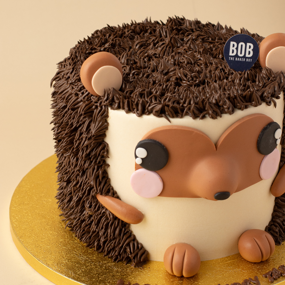 3D Cute Woodland Hedgehog Cake