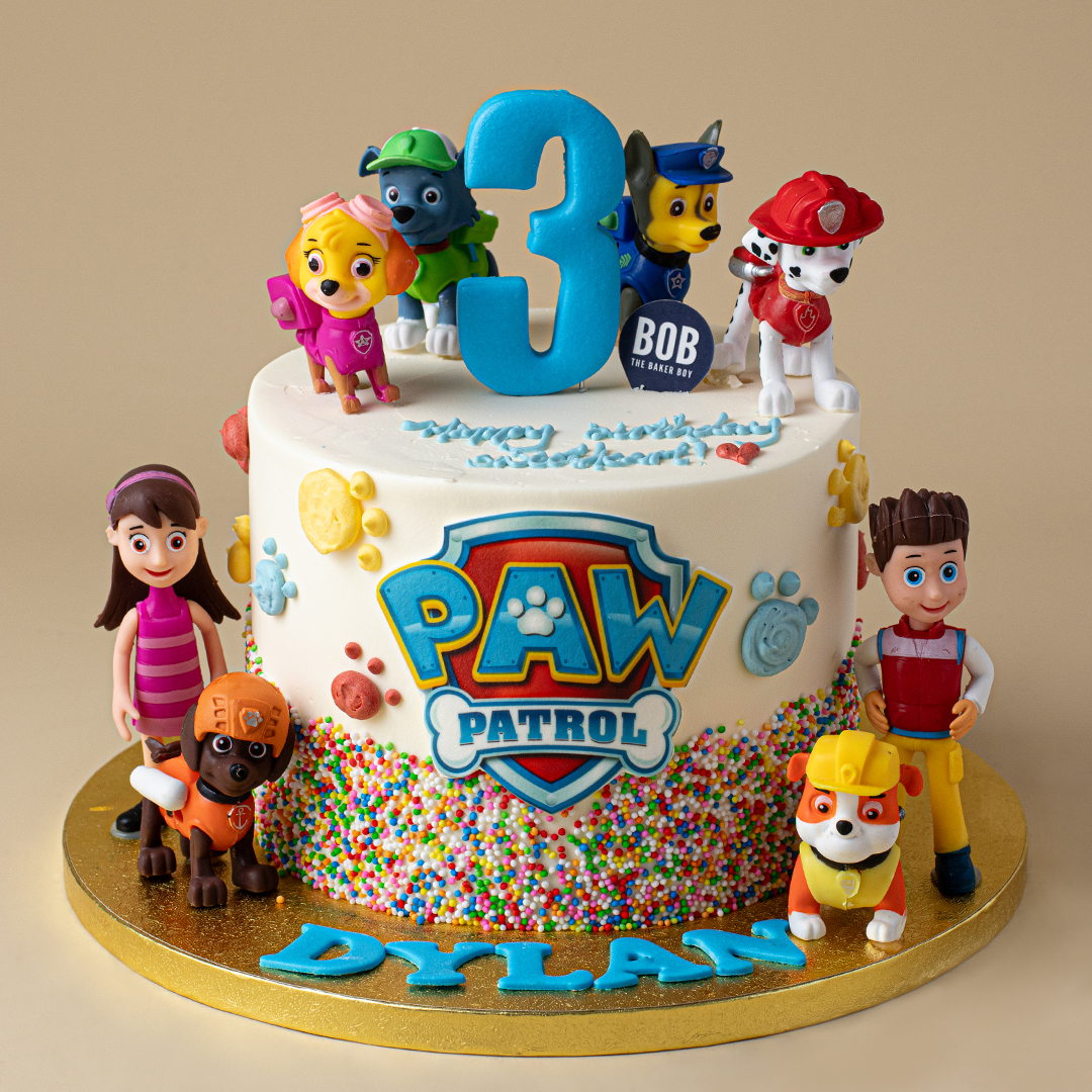Paw Patrol Rainbow Kids Cake