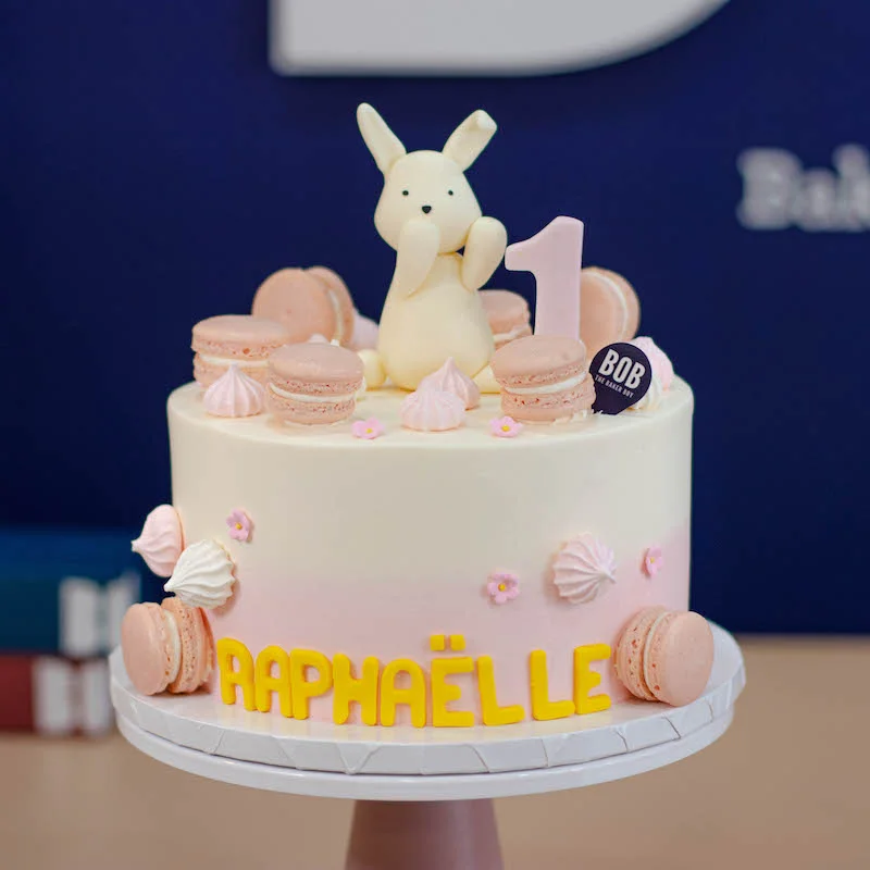 Shy Rabbit Bunny Cake in Pastel Pink Ombre and Macarons