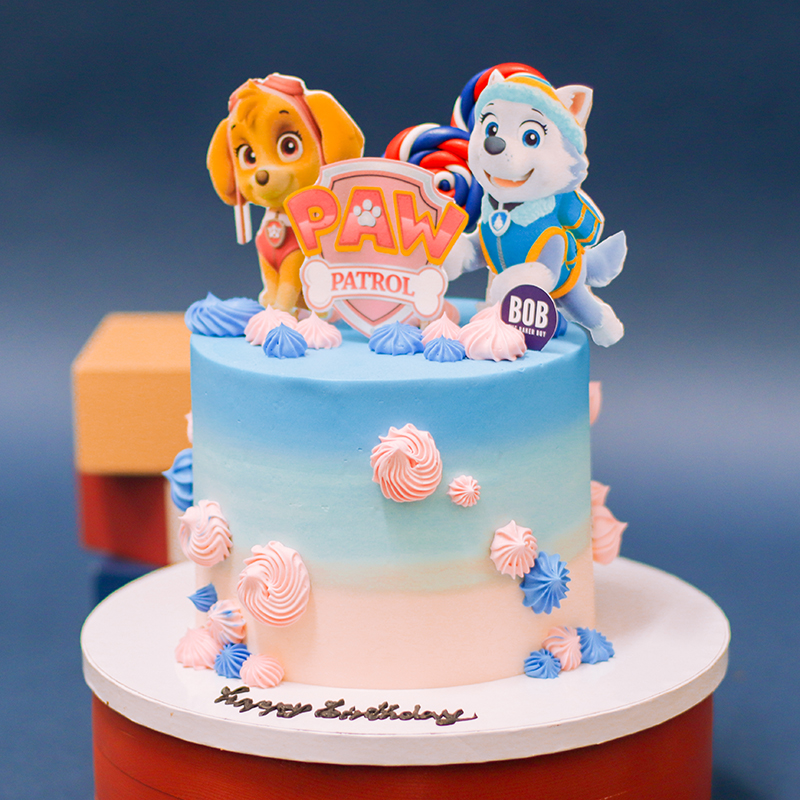 Paw Patrol Birthday Cake with Skye and Everest