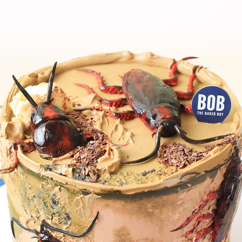 Realistic Cockroach Cake