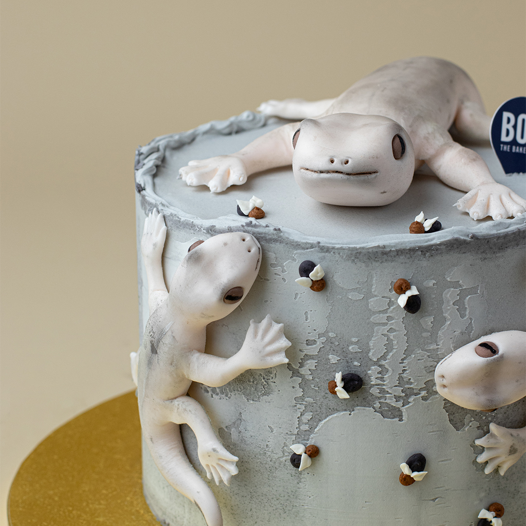 cake